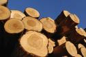Description: http://www.loghomeadvisor.com/images/logs.jpg